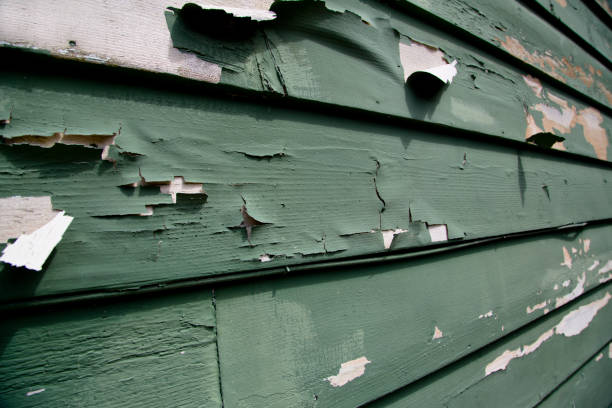 Best Foreclosure Cleanout  in Homer, LA